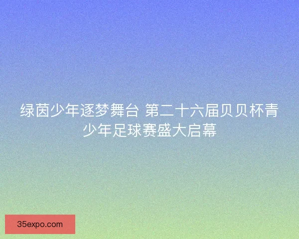 绿茵少年逐梦舞台 第二十六届贝贝杯青少年足球赛盛大启幕
