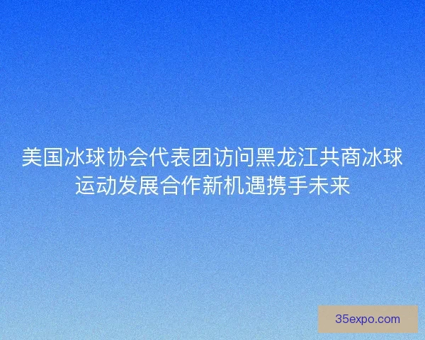 美国冰球协会代表团访问黑龙江共商冰球运动发展合作新机遇携手未来